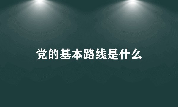 党的基本路线是什么