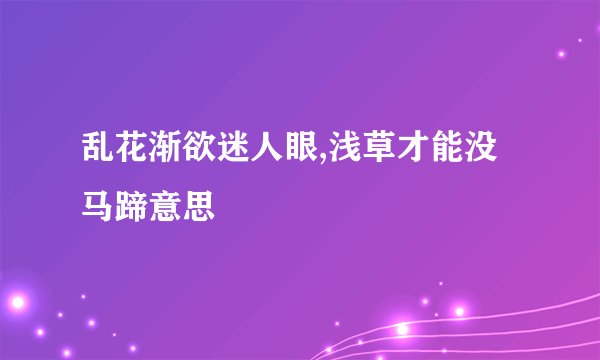 乱花渐欲迷人眼,浅草才能没马蹄意思