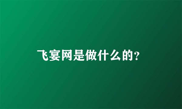 飞宴网是做什么的？