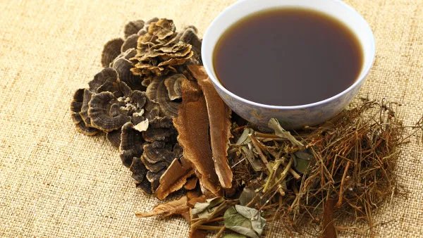 内分泌失调吃什么中药