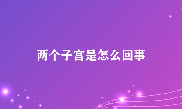 两个子宫是怎么回事