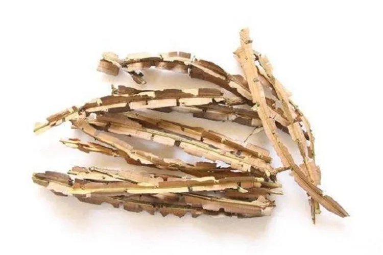 鬼箭羽图片大全