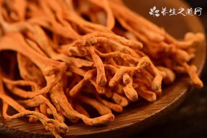 灵芝生长在什么地方