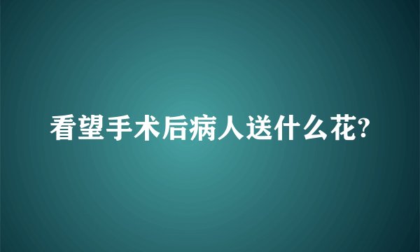 看望手术后病人送什么花?