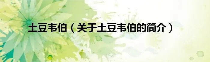土豆韦伯（关于土豆韦伯的简介）
