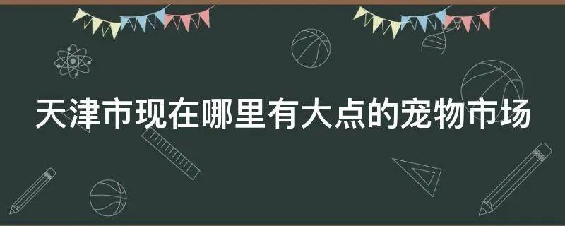 天津市现在哪里有大点的宠物市场