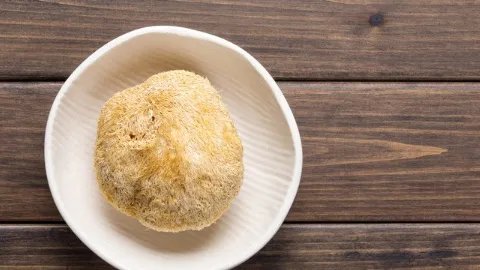 猴头菇的作用与功效