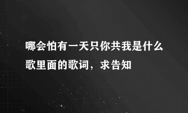 哪会怕有一天只你共我是什么歌里面的歌词，求告知