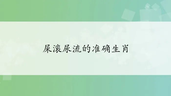 屎滚尿流的准确生肖