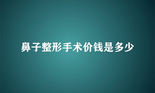 鼻子整形手术价钱是多少