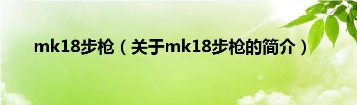 mk18步枪（关于mk18步枪的简介）
