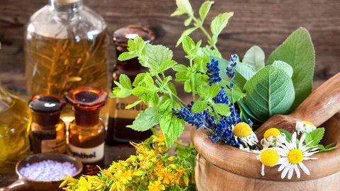 茯苓的功效与作用及食用方法