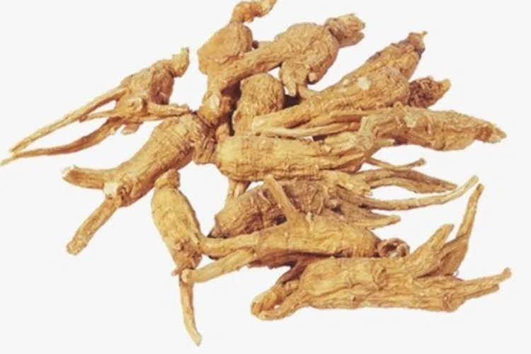 当归高清图片大全