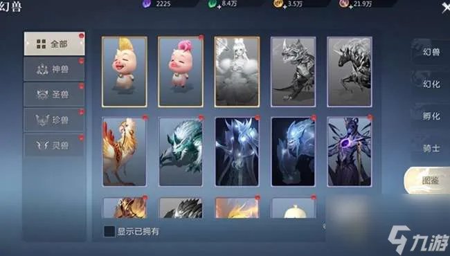 魔域宠物技能练习和升级指南 附 平民幻兽选择攻略详解