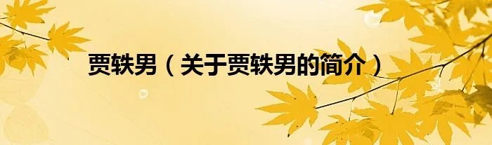 贾轶男（关于贾轶男的简介）