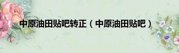 中原油田贴吧转正（中原油田贴吧）