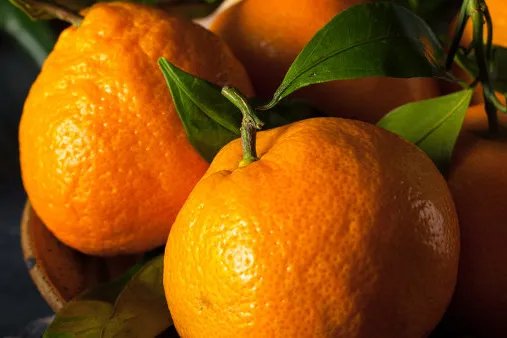 枸橘的功效与作用