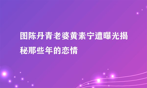 图陈丹青老婆黄素宁遭曝光揭秘那些年的恋情