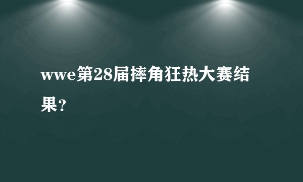 wwe第28届摔角狂热大赛结果?