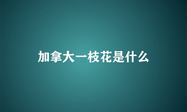 加拿大一枝花是什么