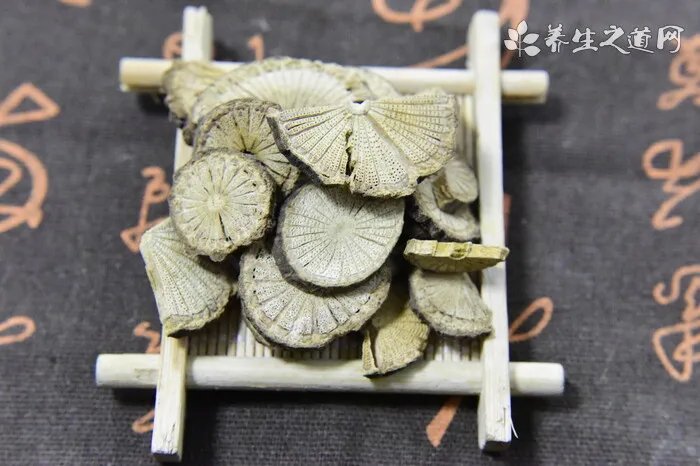 柏壳的功效与作用柏壳的药用价值