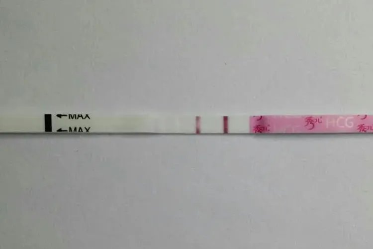 测试怀孕的试纸二道红线图片