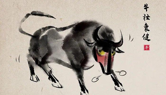 97年属牛2021年幸运色 2021年属牛幸运颜色和数字