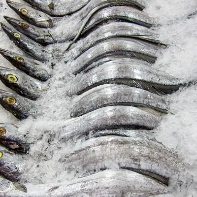 贝茨方法?真的可以治疗近视