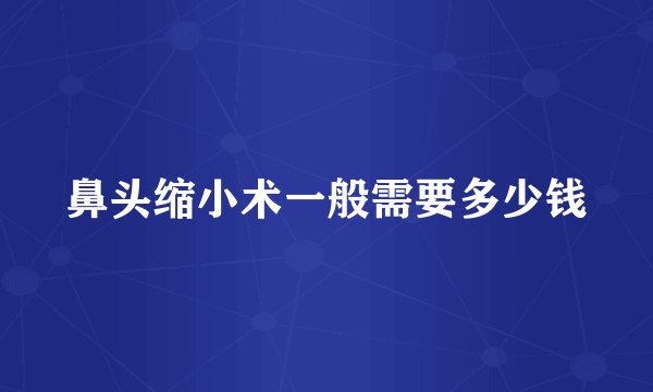 鼻头缩小术一般需要多少钱