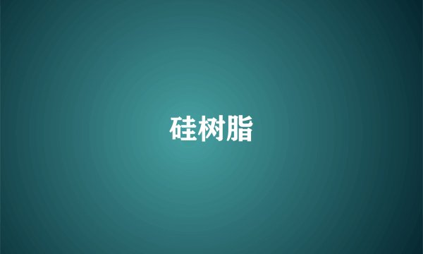 硅树脂