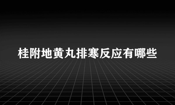桂附地黄丸排寒反应有哪些