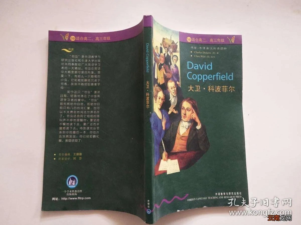 大卫科波菲尔人物简介