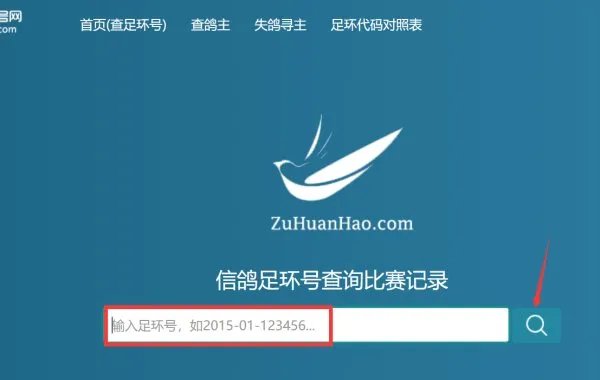信鸽足环号查询