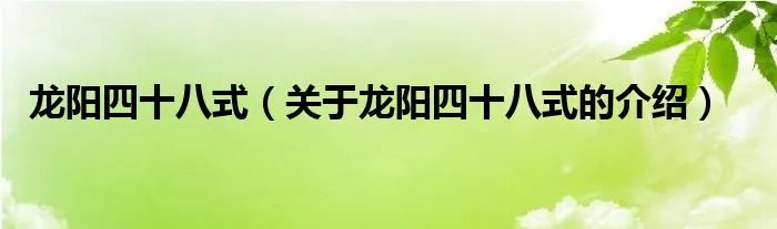 龙阳四十八式（关于龙阳四十八式的介绍）