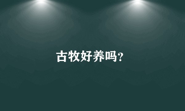 古牧好养吗?