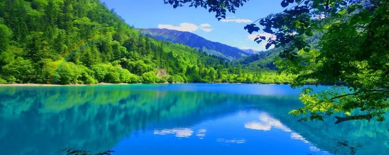 qq家族名字好听的 qq家族好听的名字大全