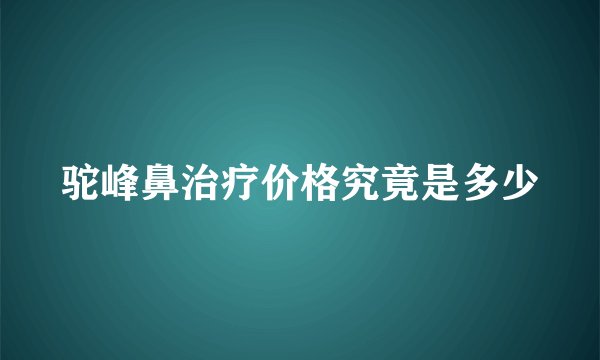 驼峰鼻治疗价格究竟是多少