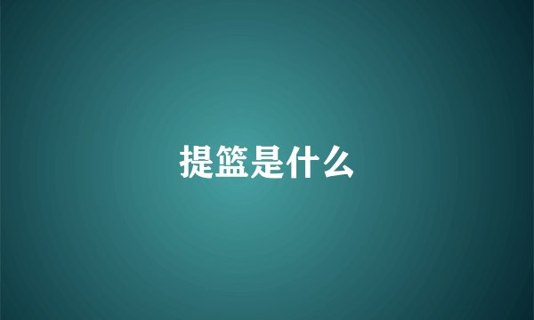 提篮是什么