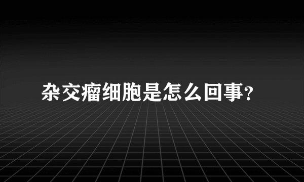 杂交瘤细胞是怎么回事？