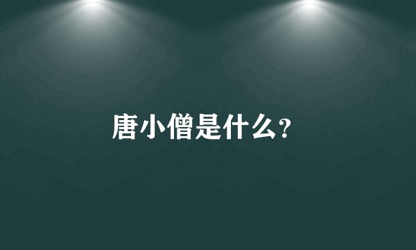 唐小僧是什么？
