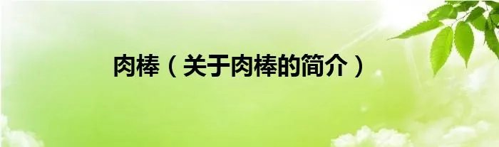 肉棒（关于肉棒的简介）
