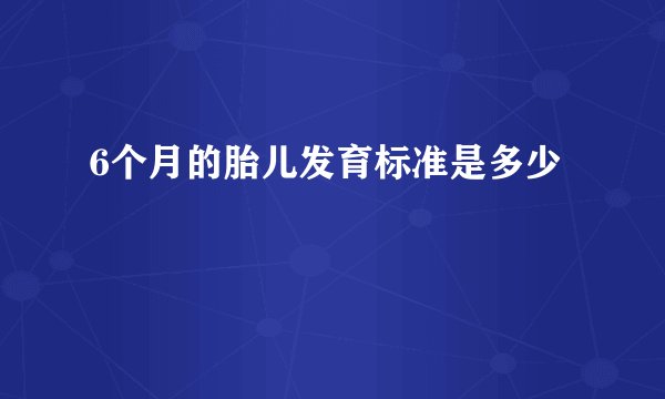 6个月的胎儿发育标准是多少