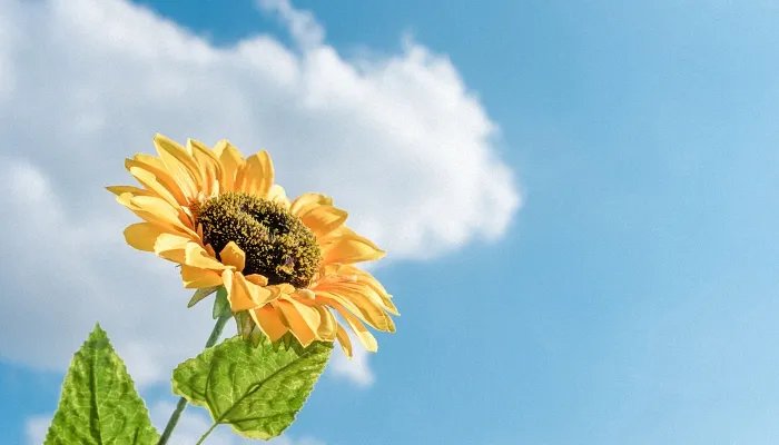 发天空照朋友圈配句 漂亮的天空照片配文字