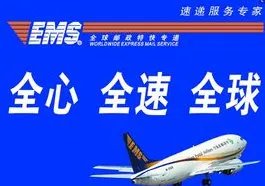 淘宝ems是什么意思