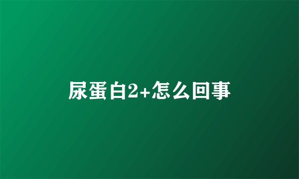 尿蛋白2+怎么回事