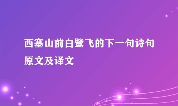 西塞山前白鹭飞的下一句诗句原文及译文