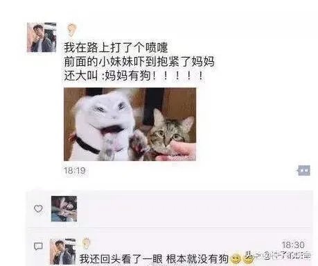 求超级搞笑的图片?