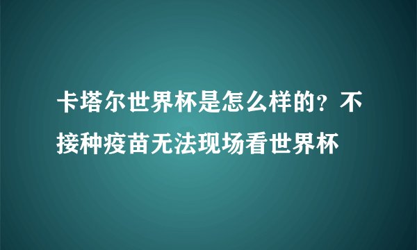 卡塔尔世界杯是怎么样的？不接种疫苗无法现场看世界杯
