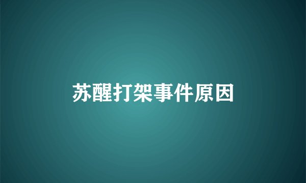 苏醒打架事件原因