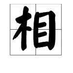 相组词有哪些词语